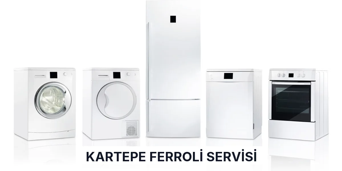 Kartepe Ferroli Servisi